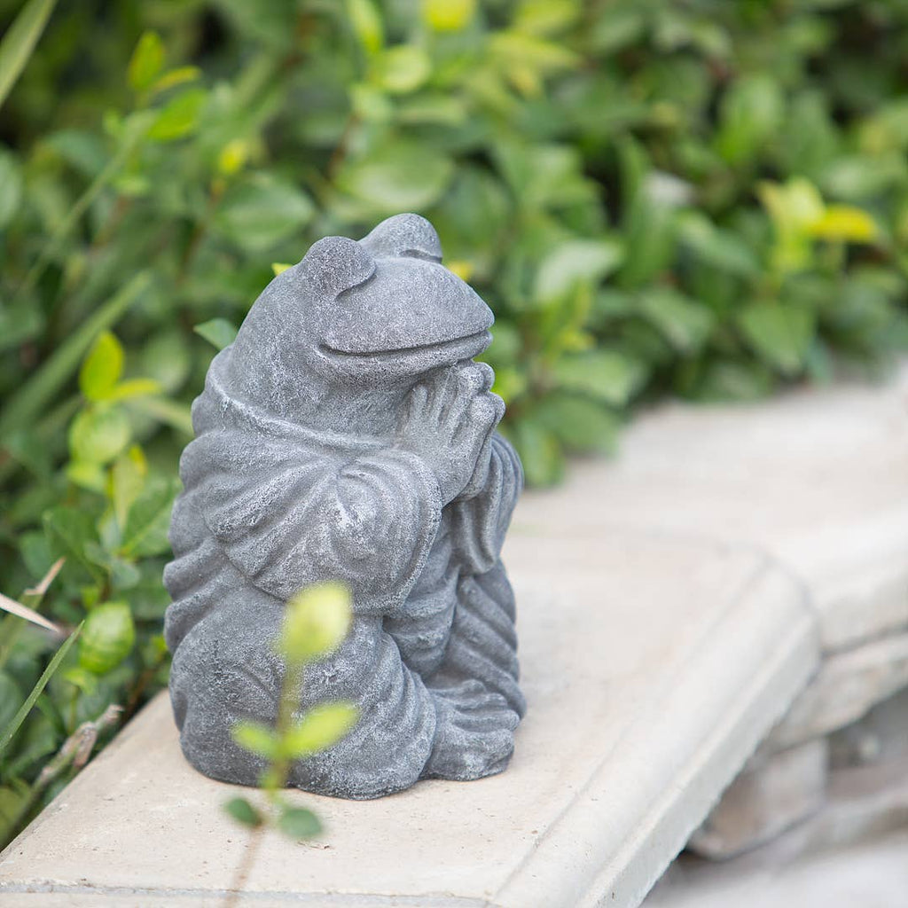Praying Frog - Volcanic Ash