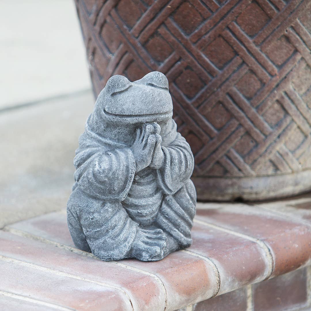 Praying Frog - Volcanic Ash