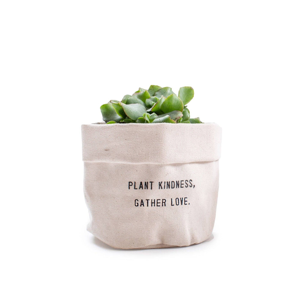 Plant Kindness Gather Love - Small Canvas Planter
