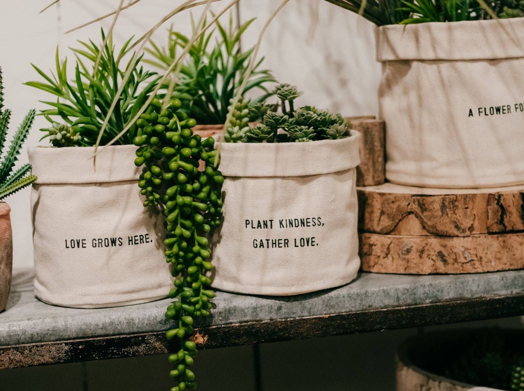 Plant Kindness Gather Love - Small Canvas Planter