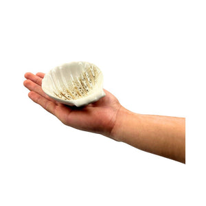 Ceramic Clam Shell