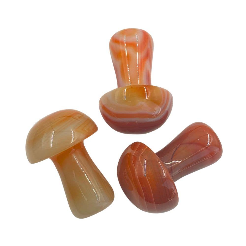 Carnelian Mushroom