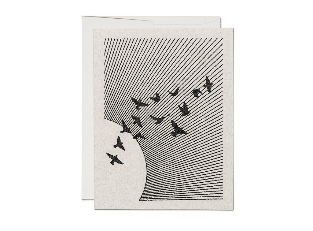 Flock everyday greeting card ~ box of 8