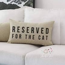 Reserved for the Cat Pillow